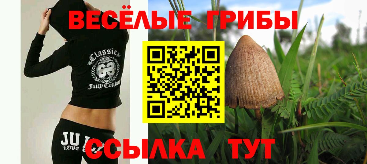 Кызыл  где продают наркотики  Вход с VPN  Галлюциногенные грибы MAGIC MUSHROOMS 
